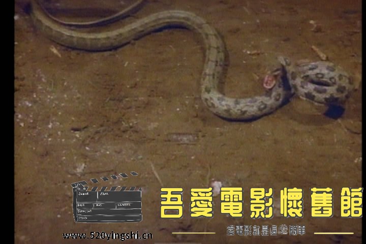 VTS_01_1[00_28_04][20210919-000133-2].JPG