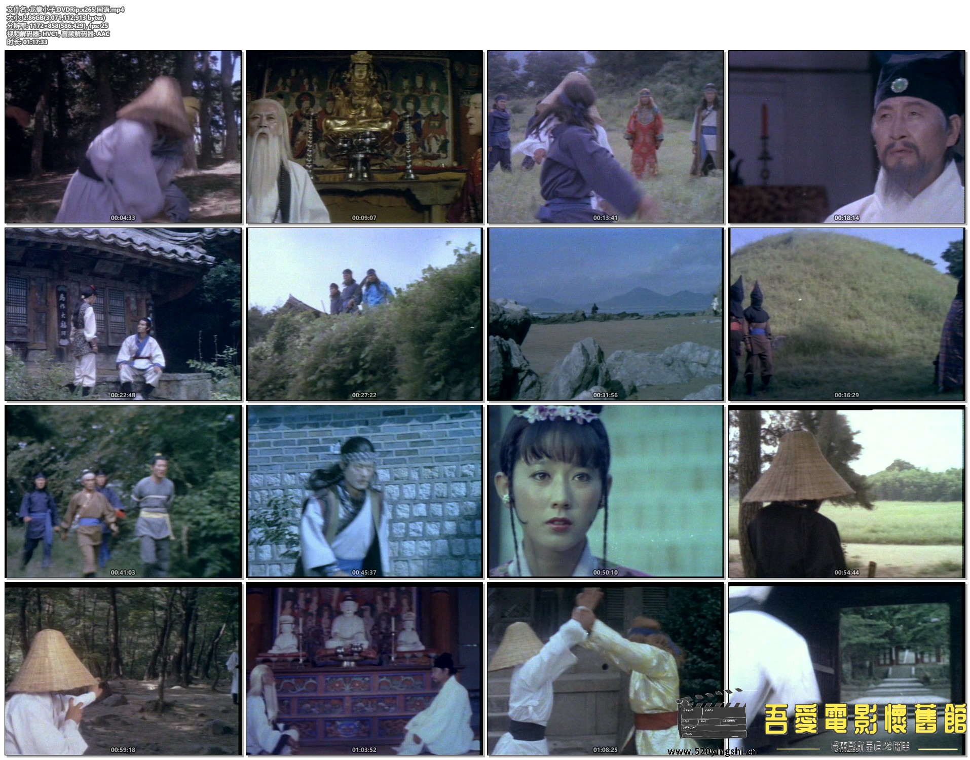 龙拳小子.DVDRip.x265.国语.mp4.jpg