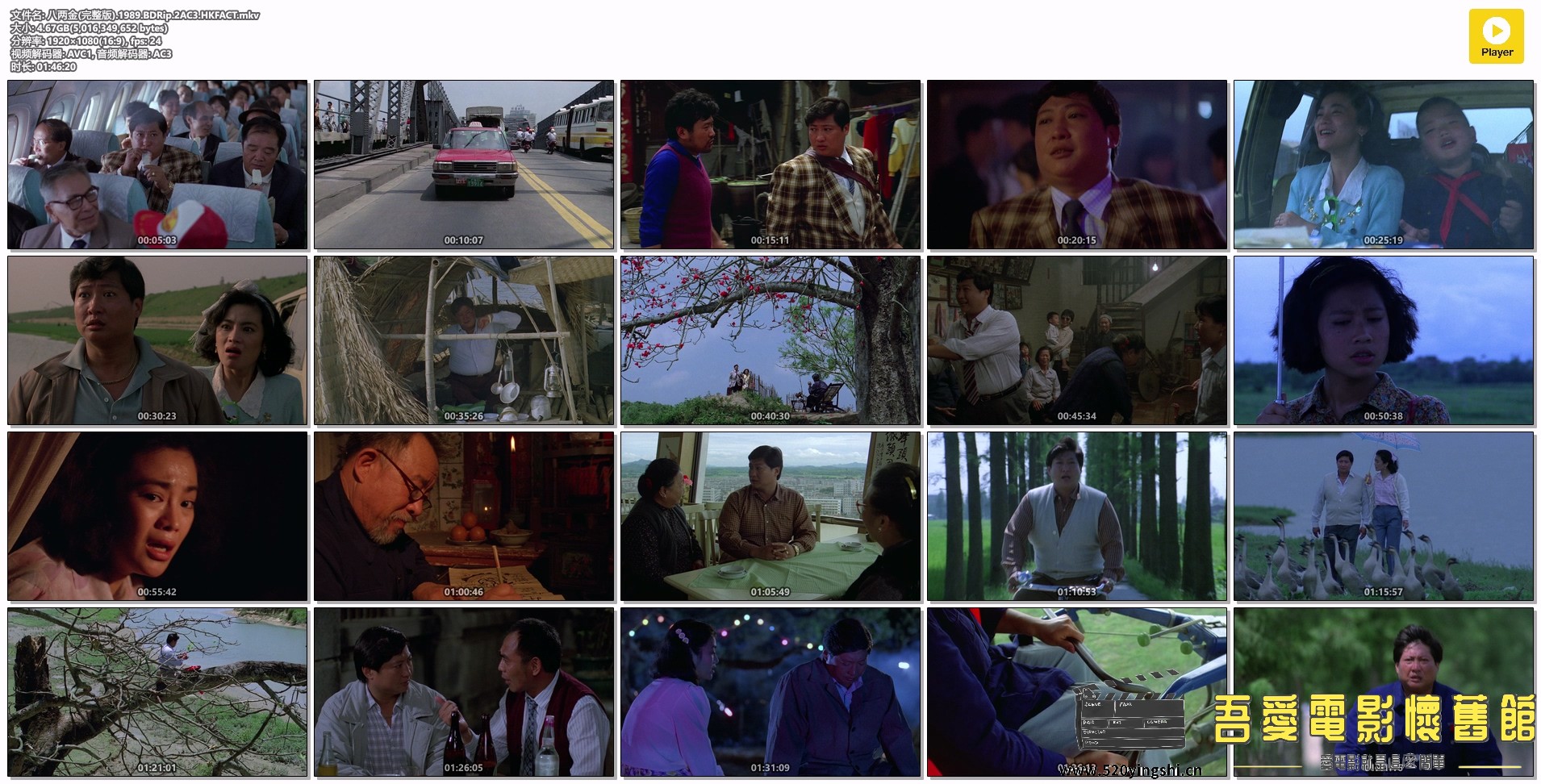 八两金(完整版).1989.BDRip.2AC3.HKFACT.mkv.jpg