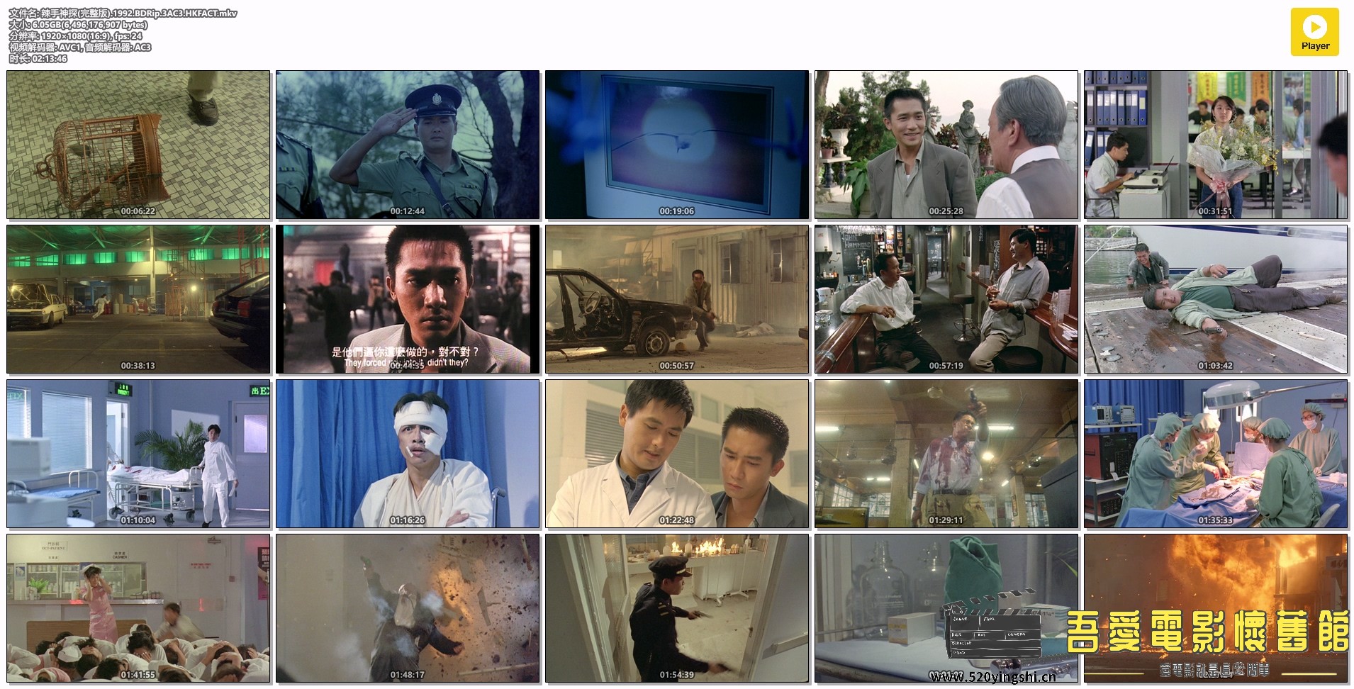 辣手神探(完整版).1992.BDRip.3AC3.HKFACT.mkv.jpg