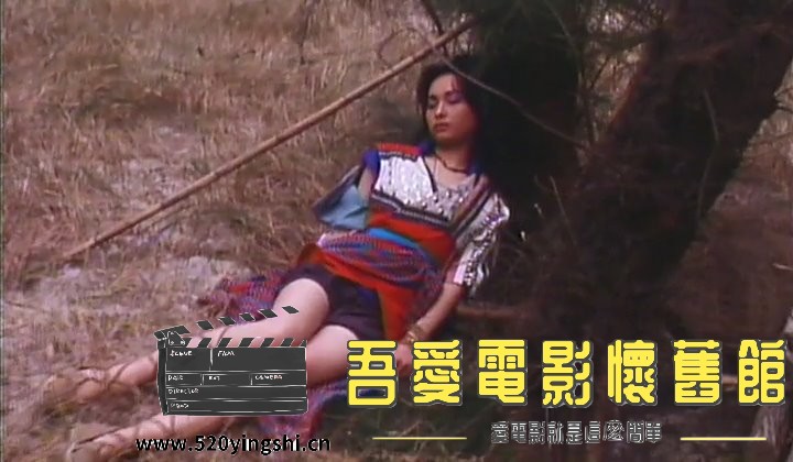 张保仔.1993.LDRip.2AC3.国粤语中英字.mkv_snapshot_01.05.51_[2022.12.31_20.43.59].jpg