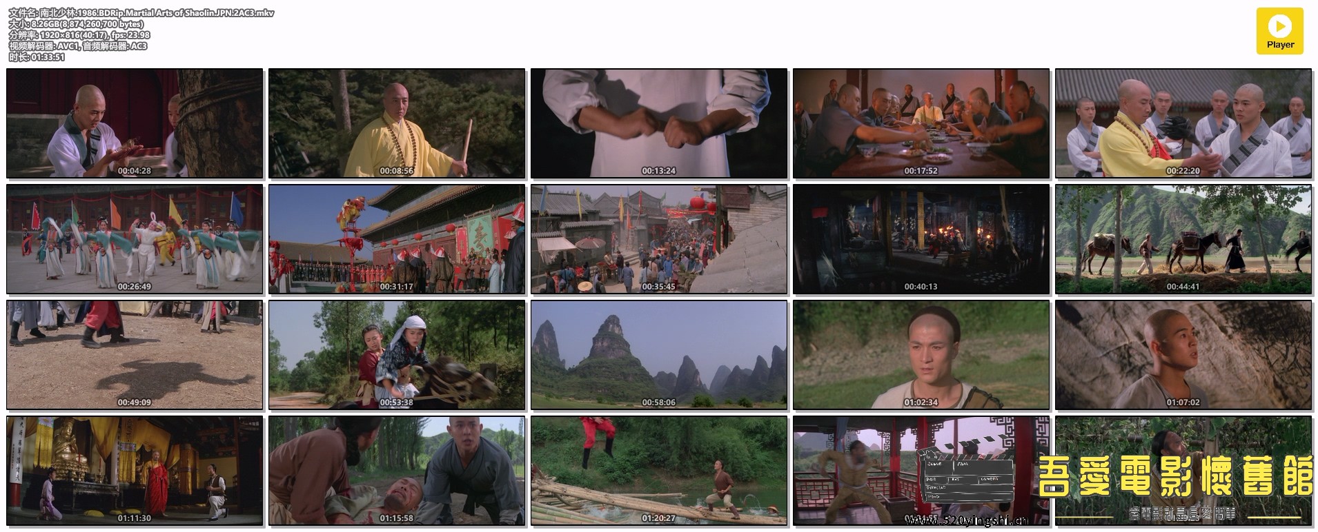 南北少林.1986.BDRip.Martial Arts of Shaolin.JPN.2AC3.mkv.jpg