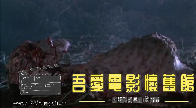 变形幽灵 Dangerous Seductress (1992) DVDRIP.avi_snapshot_00.10.35.827_[2023.01.0.jpg