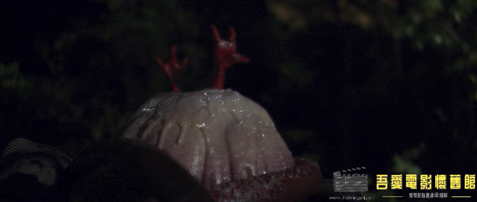Dont.Fuck.In.The.Woods.2.2022.1080p.BluRay.x264.AAC.mp4_snapshot_01.19.31.372_[2.jpg