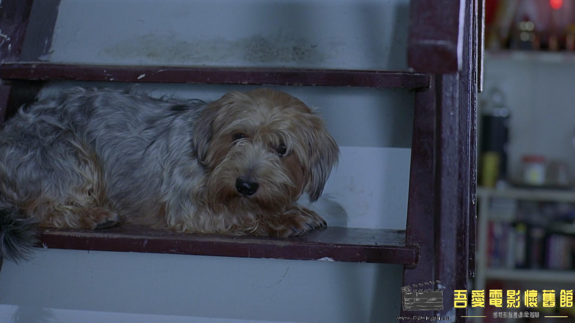 甜言蜜语.Sealed.with.a.Kiss.1999.1080p.MyTVS.WEB-DL.H265.AAC-TAGWEB.mkv_010838.218.jpg