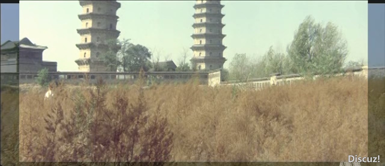 1988.女刺客.DVDRip.H265.国语中字.扩展画面完整版.小黄君合成.禁转.mkv_20240928_204.jpg