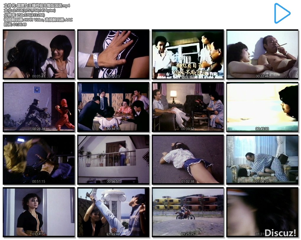 霹雳女王蜂终极完整版国语.mp4.jpg