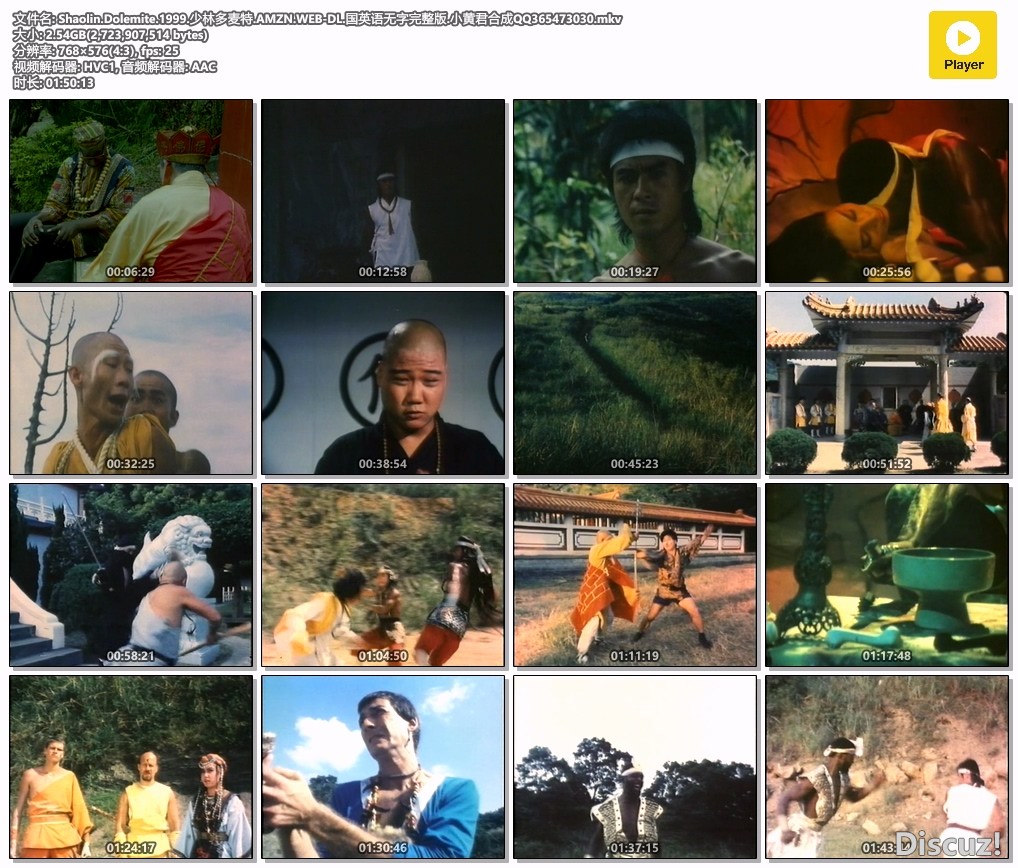 Shaolin.Dolemite.1999.少林多麦特.AMZN.WEB-DL.国英语无字完整版.小黄君合成QQ365473.jpg