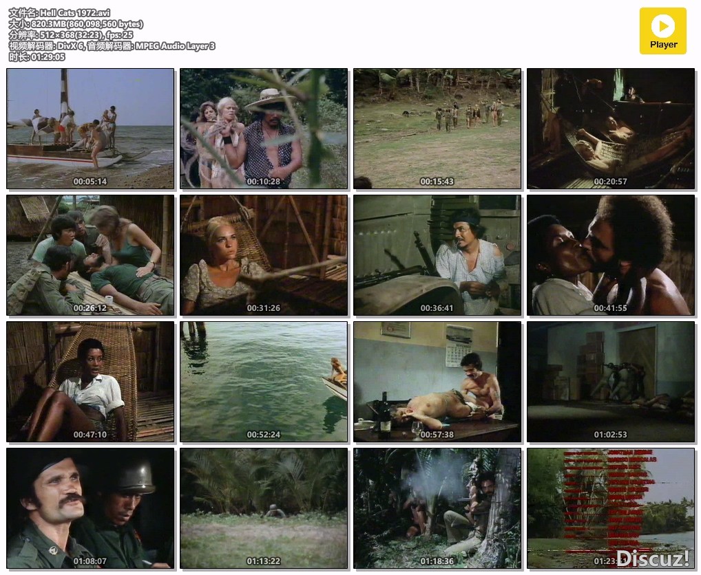 Hell Cats 1972.avi.jpg