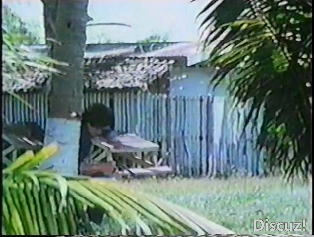 致命复仇 Search For Vengeance tt0088069.mp4_20250212_182820.134.jpg