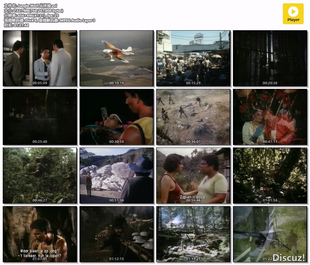 Jungle.Wolf.丛林狼.avi.jpg