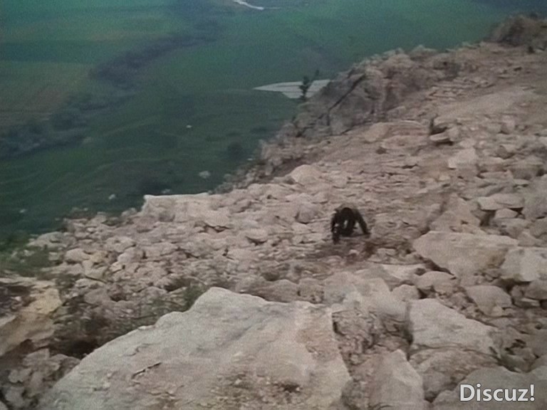 Z-Man.1988.mkv_20250213_222721.972.jpg