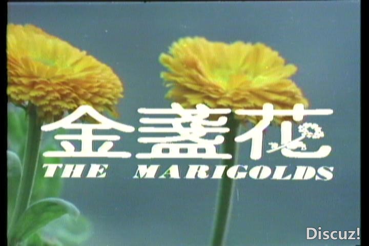cover03.jpg