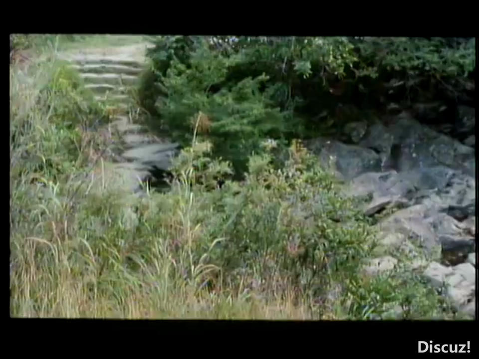IMG_20251109_123036.png